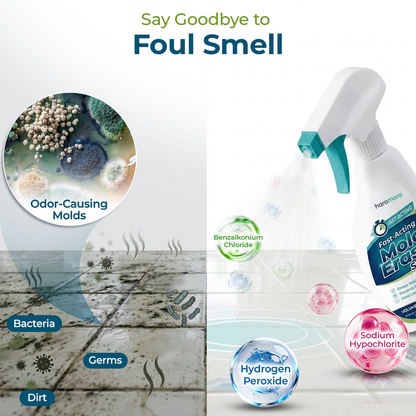 Haromora® Fast-Acting Mold Erase Spray