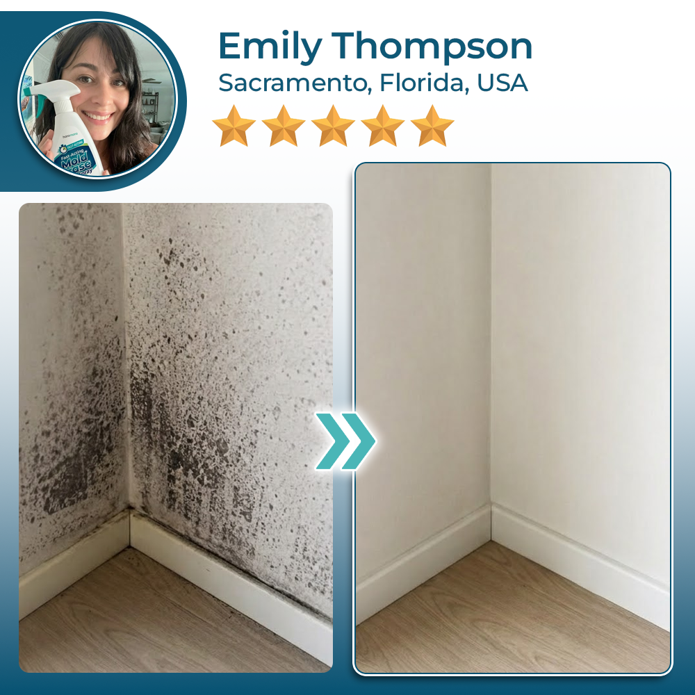 Haromora® Fast-Acting Mold Erase Spray