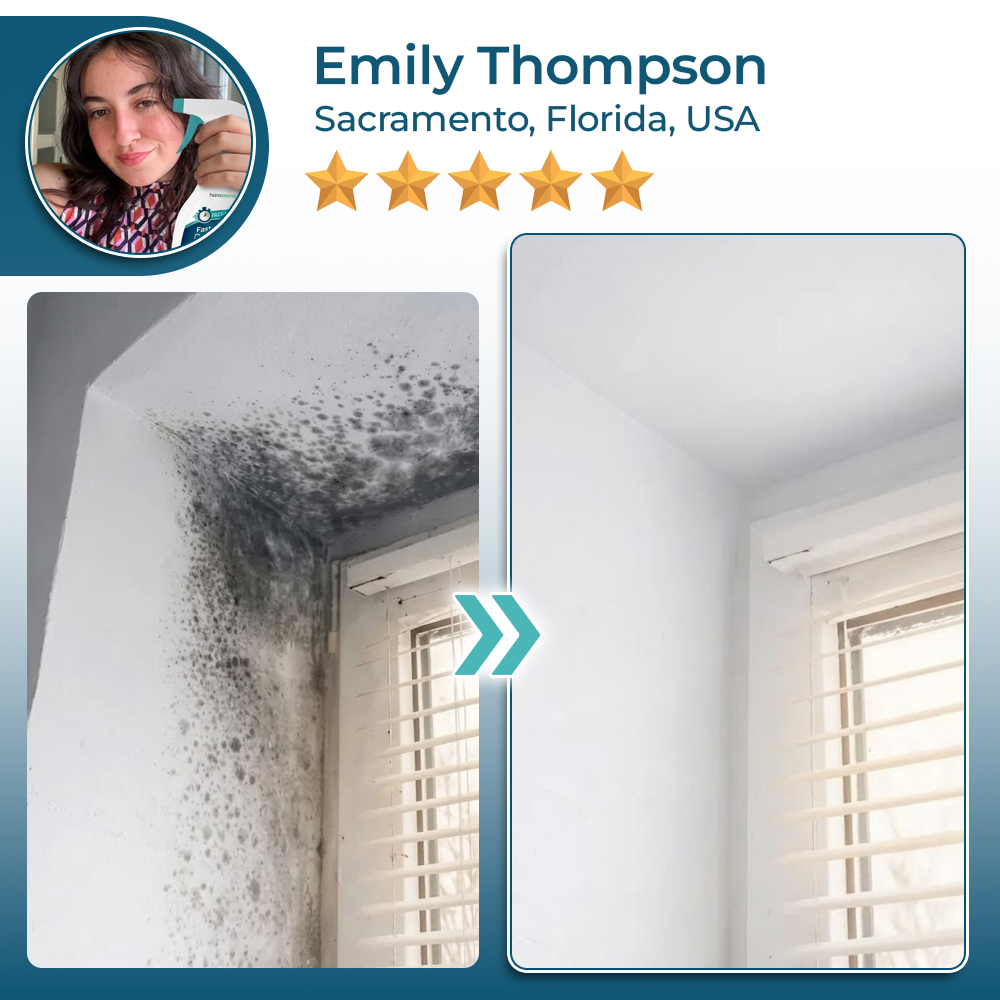 Haromora® Fast-Acting Mold Erase Spray